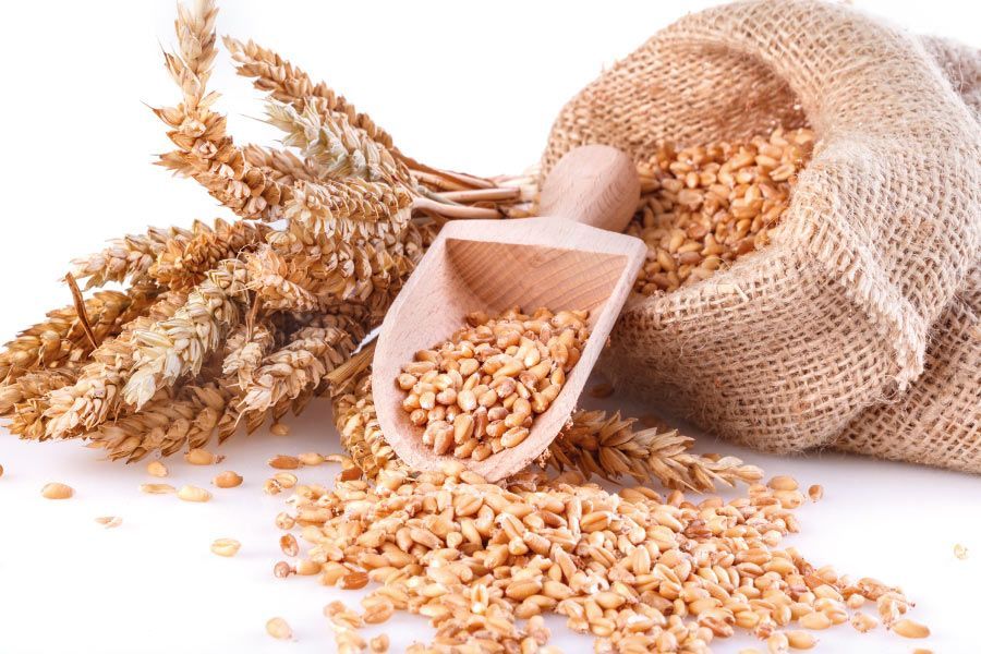 ¿Por qué debemos incluir cereales integrales en nuestra dieta?