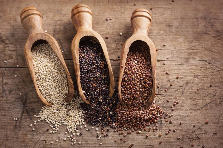 pseudocereales Nomen